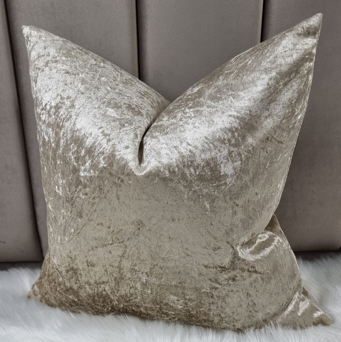 Champagne shop coloured cushions